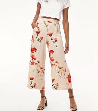 Aritzia + Wilfred Faun Pants