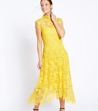 M&S Collection + Floral Lace Cap Sleeve Dress