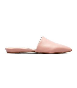 Everlane + The Pointed Slide in Rose