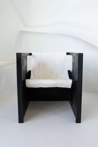 Raini Home + C1 Sling Chair