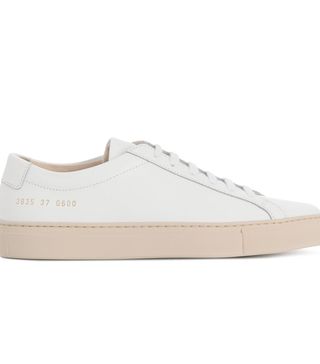 Common Projects + Achilles Leather Sneakers