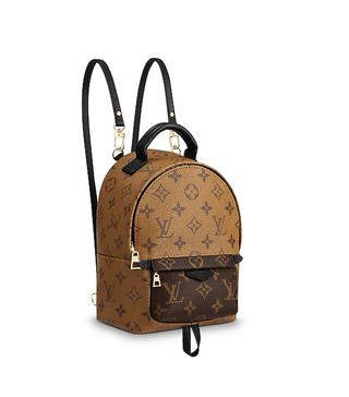 Louis Vuitton + Palm Springs Backpack Mini