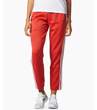 Adidas + Tricot Snap Pants
