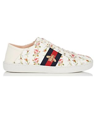 Gucci + New Ace Canvas Sneakers