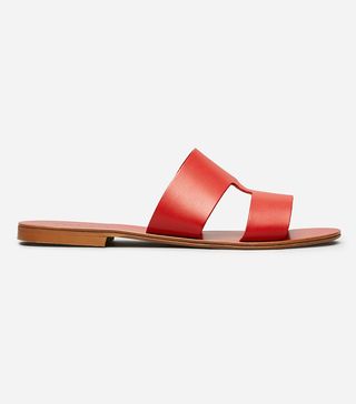 Everlane + Flat Leather Sandals