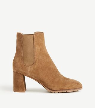 Ann Taylor + Ainsley Suede Heeled Booties
