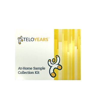 telomeres-and-aging-240802-1509637609172-main