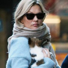 kate-moss-carrying-puppy-241692-1510334640903-square