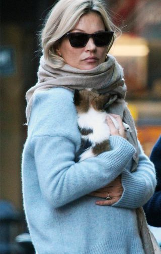 kate-moss-carrying-puppy-241692-1510334814406-image