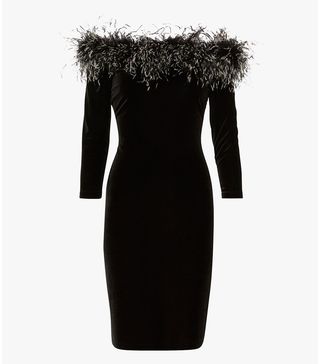 Gina Bacconi + Velvet Feather Dress
