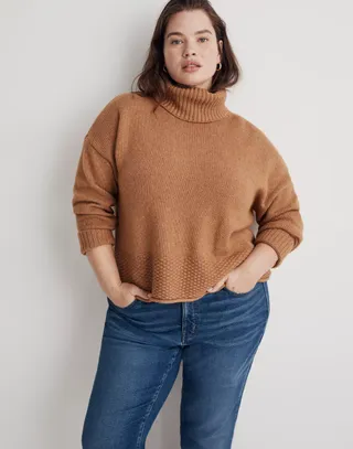 Madewell + Plus Sadler Turtleneck Sweater