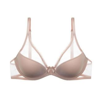 Journelle + Victoire Plunge Bra