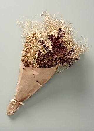 Anthropologie + Dried Canella Berry Bouquet