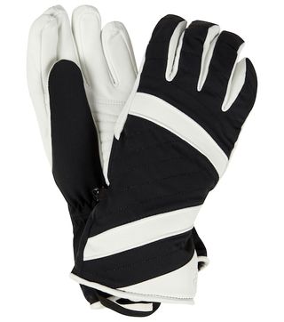 Toni Sailer + Alek Leather Ski Gloves