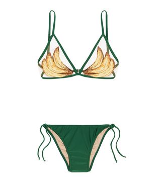 Adriana Degreas + Mesh-Trimmed Printed Triangle Bikini