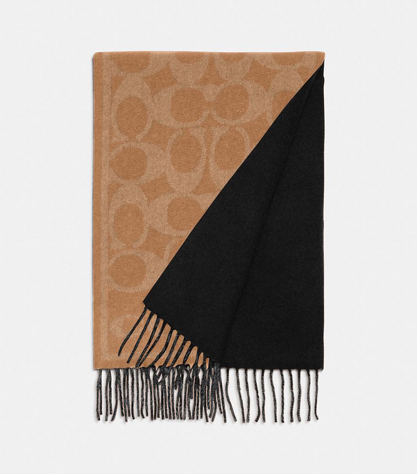 The 30 Best Cashmere Scarves at Every Price Point Who What Wear