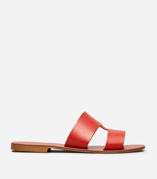 Everlane + Flat Leather Sandal in Red