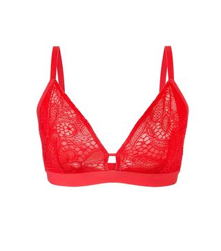 Lively + The Palm Lace Busty Bralette in Tomato Red