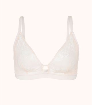 Lively + The Palm Lace Busty Bralette in Soft Pink