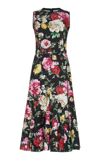 Dolce & Gabbana + Floral-Print Stretch-Cotton Midi Dress