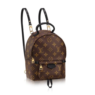 Louis Vuitton + Palm Springs Backpack Mini