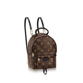 Louis Vuitton + Palm Spring Mini Backpack