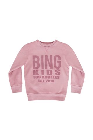 Anine Bing + Bing Icon Sweatshirt in Dusty Rose