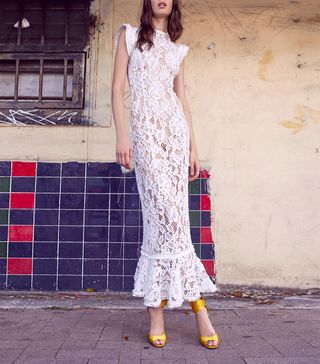 Alexis + Kleo Lace Dress