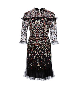 Needle & Thread + Embroidered Tulle Dress