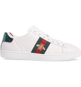 Gucci + New Ace Sneaker