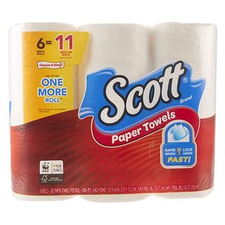 Scott + Paper Towels