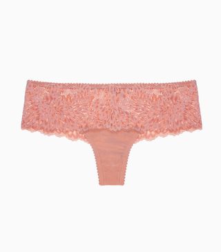 Lonely + Dahlia French Brief Maple