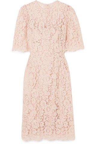 Dolce & Gabbana + Corded Lace Midi Dress