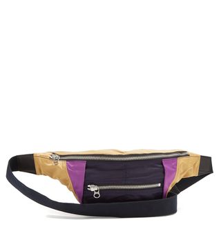 Isabel Marant + Noomi Tri-Colour Belt Bag