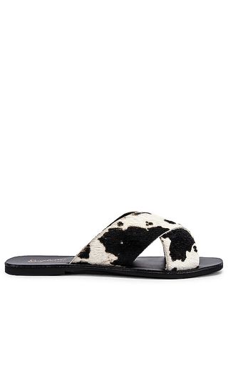 Seychelles + Seychelles Total Relaxation Slide in Black Cow Print