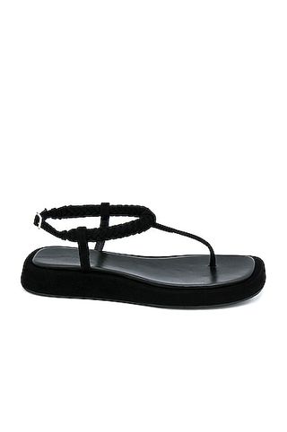 Gia/RHW + Flat Thong Suede Sandals