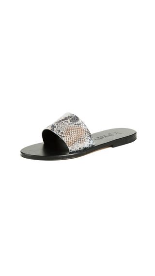 K. Jacques + Arezzo Slides