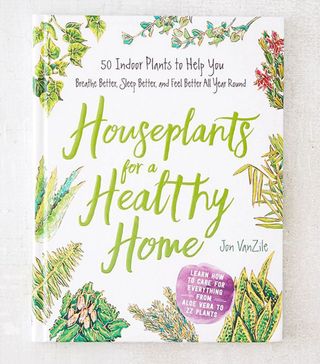 Jon VanZile + Houseplants for a Healthy Home