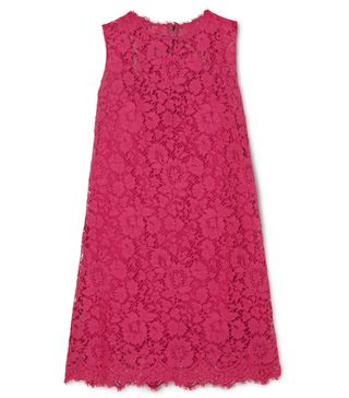 Dolce & Gabbana + Cotton-Blend Lace Mini Dress