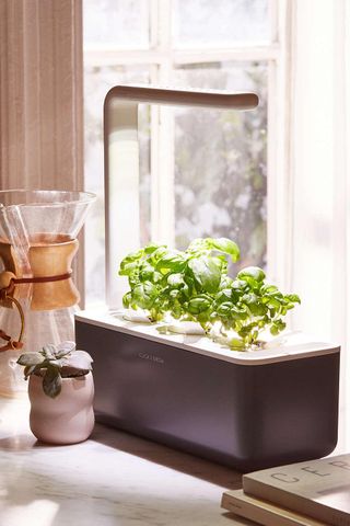 Click 
Grow + Smart Herb Garden 3 Starter Kit