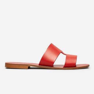 Everlane + Flat Leather Sandals