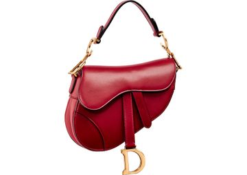 Celebrities and Fashion It Girls Wearing Dior's Saddle Bag | Who What Wear