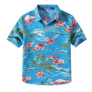 SSLR + Pink Flamingo Hawaiian Shirt