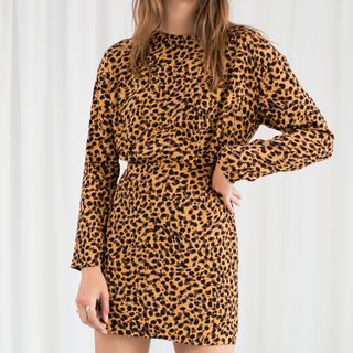 & Other Stories + Leopard Print Dress