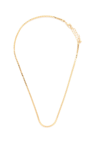 Forever 21 + Serpentine Chain Necklace