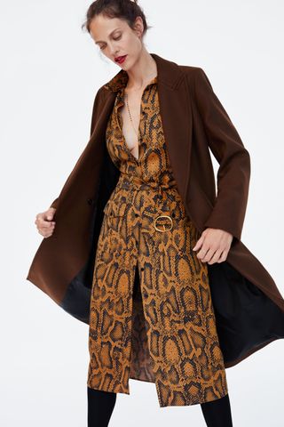Zara + Snakeskin Print Dress