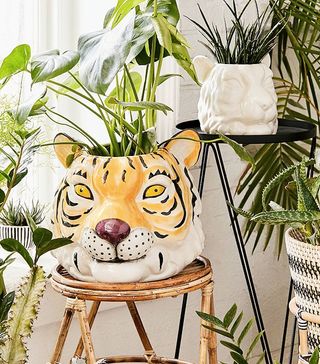 Urban Outfitters + Large Tiger Plant Pot