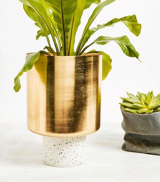 Urban Outfitters + Large Terrazzo Base Plant Pot