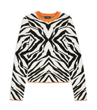 Topshop + Zebra Skinny Crew Neck Jumper