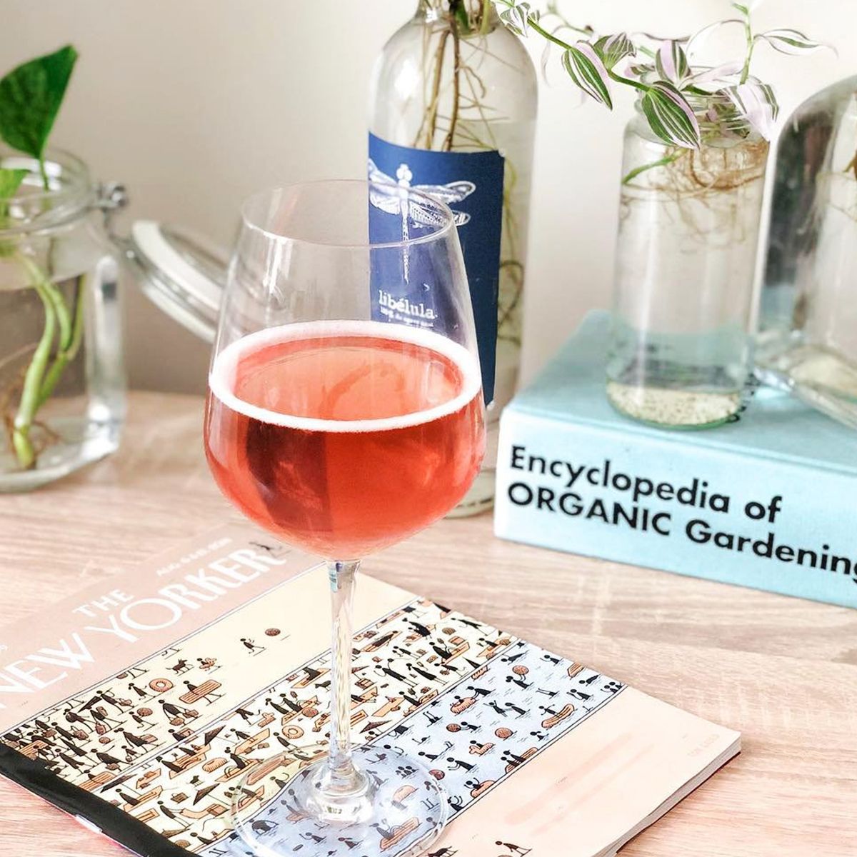 How to Avoid a Hangover From Wine, According to a Sommelier Who What Wear